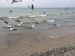     
: IMG_5470.jpg
: 24
:	195.3 
ID:	10973544