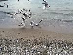     
: IMG_5478.jpg
: 23
:	268.6 
ID:	10973548