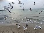     
: IMG_5479.jpg
: 23
:	169.1 
ID:	10973551