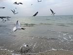     
: IMG_5481.jpg
: 25
:	142.5 
ID:	10973553