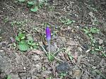     
: 100_5176.jpg
: 48
:	268.4 
ID:	10975785