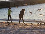     
: IMG_1068.jpg
: 27
:	223.3 
ID:	10977424