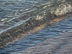     
: IMG_1115.jpg
: 27
:	216.7 
ID:	10977438