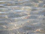     
: IMG_1147.jpg
: 26
:	108.6 
ID:	10977453