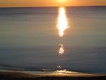    
: IMG_1046.jpg
: 29
:	115.4 
ID:	10977469