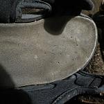     
: IMG_2729.jpg
: 13
:	120.0 
ID:	10978710