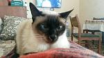     
: 2Ow-lyT0p2U.jpg
: 18
:	187.8 
ID:	10984065