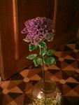     
: wzDOE-unblY.jpg
: 5
:	58.6 
ID:	10993020