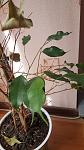     
: 20160320_124657.jpg
: 21
:	92.8 
ID:	10994334