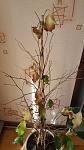     
: 20160320_125052.jpg
: 28
:	117.0 
ID:	10994335
