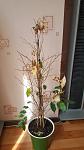     
: 20160320_124634.jpg
: 22
:	94.6 
ID:	10994336