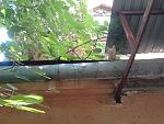     
: P200714_14.07_[01].jpg
: 21
:	149.8 
ID:	10995917