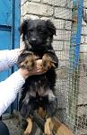     
: CD4OkZcrIuQ.jpg
: 9
:	78.5 
ID:	10996682