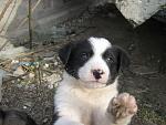     
: IMG_9809.JPG
: 10
:	52.6 
ID:	10997461