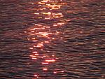     
: IMG_1589.jpg
: 23
:	181.6 
ID:	10998114