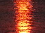     
: IMG_1595.jpg
: 23
:	211.1 
ID:	10998145