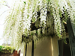    
: image.png
: 42
:	76.0 
ID:	11001200