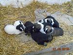     
: 2016-03-27 11-14-52.jpg
: 16
:	276.3 
ID:	11002846