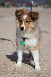     
: 0_14d6d3_188b6602_orig.jpg
: 45
:	82.3 
ID:	11003419