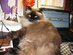     
: IMG_0119.jpg
: 14
:	150.9 
ID:	11004001