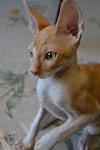     
: DSC_0759.jpg
: 25
:	40.3 
ID:	11004194