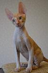     
: DSC_0743.jpg
: 25
:	50.6 
ID:	11004196