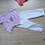     
: IMG_5896.jpg
: 6
:	106.9 
ID:	11004692
