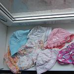     
: IMG_5955.jpg
: 10
:	124.5 
ID:	11004693