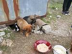     
: 20160327_154427.jpg
: 8
:	289.7 
ID:	11004748