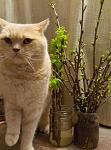     
: P60324-204430.jpg
: 11
:	99.2 
ID:	11005748