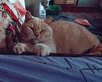     
: P60310-072027-001-001.jpg
: 16
:	144.4 
ID:	11005750