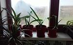     
: 20160327_073626.jpg
: 82
:	119.8 
ID:	11007460