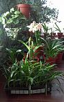     
: 20160327_073732.jpg
: 90
:	124.8 
ID:	11007462