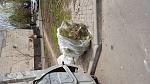     
: 20160329_131924.jpg
: 34
:	221.8 
ID:	11009003