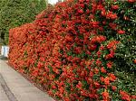     
: away.jpg
: 39
:	64.0 
ID:	11010497