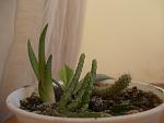     
: 051 (2).jpg
: 113
:	74.7 
ID:	11011851