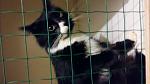     
: 20160328_191644.jpg
: 18
:	71.5 
ID:	11014004