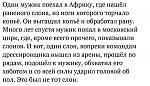     
: fZaRBgOESY_8630416_21359311.jpg
: 79
:	51.9 
ID:	11019200