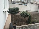     
: image.jpg
: 5
:	128.8 
ID:	11023947