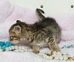     
: qTs9OqtYjAc.jpg
: 9
:	66.3 
ID:	11024464