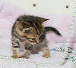    
: vElwJPWVY7M.jpg
: 14
:	51.1 
ID:	11024472