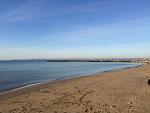     
: IMG_5721.jpg
: 30
:	127.4 
ID:	11025831