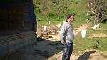     
: WP_20160403_10_58_47_Pro.jpg
: 11
:	144.9 
ID:	11025947