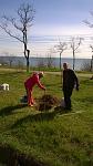     
: WP_20160403_11_03_59_Pro.jpg
: 9
:	108.9 
ID:	11025951
