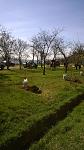     
: WP_20160403_11_04_07_Pro.jpg
: 18
:	118.0 
ID:	11025955