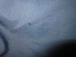     
: IMG_5001.jpg
: 17
:	236.8 
ID:	11026220