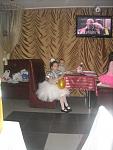     
: DSCN0033.jpg
: 9
:	94.4 
ID:	11033491