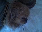     
: IMG_20160403_155746.jpg
: 30
:	93.2 
ID:	11033731