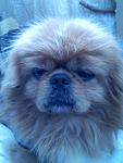     
: IMG_20160402_094127 — копия.jpg
: 29
:	66.8 
ID:	11033733