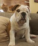     
: 20160308_163841.1.jpg
: 15
:	96.5 
ID:	11038996